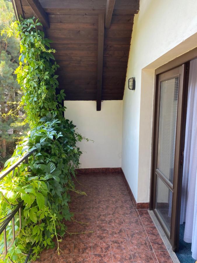 Hotel Penzion Country Club Žamberk Esterno foto